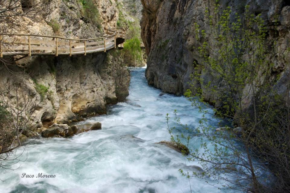 Alojamiento Rural, Cueva De La Abuela Cuevas del Campo Ngoại thất bức ảnh