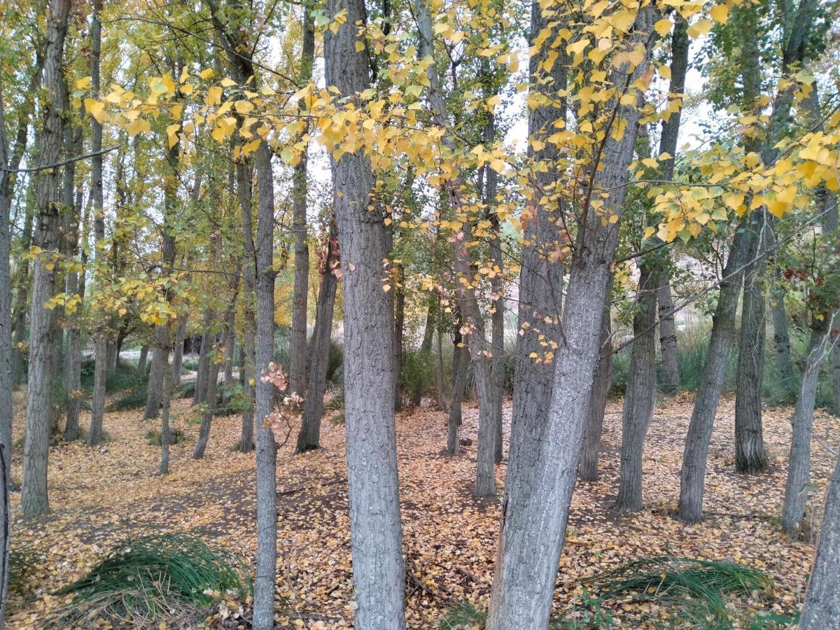 Alojamiento Rural, Cueva De La Abuela Cuevas del Campo Ngoại thất bức ảnh