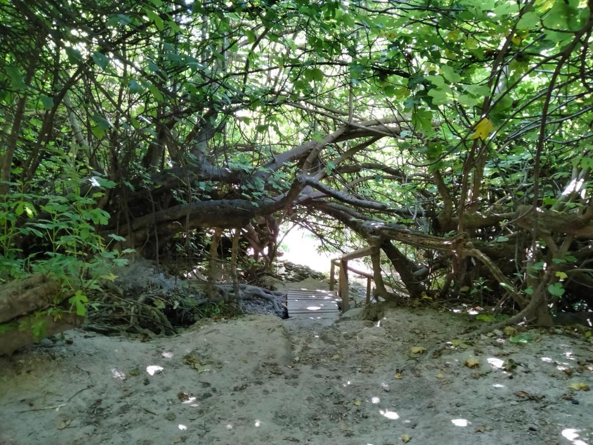 Alojamiento Rural, Cueva De La Abuela Cuevas del Campo Ngoại thất bức ảnh